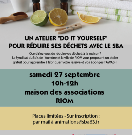 Un atelier gratuit tawashi et lessive maison