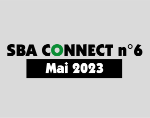 SBA Connect 6