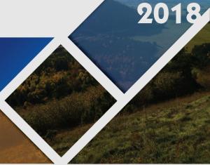Rapport annuel 2018 Rapport annuel 2018