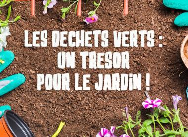 Les déchets verts : un trésor pour votre jardin !