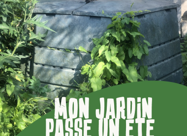 Eté : préparer son jardin zéro déchet