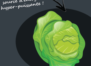 NOS BIO-DÉCHETS ONT DE L’AVENIR 